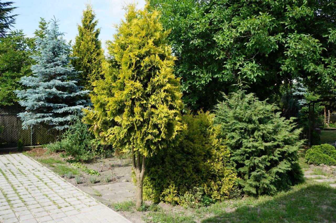 Apartamenty Z Klimatem Poznań Exterior foto